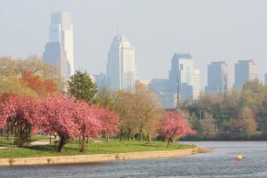 Shop now to get cheap green electric in PECO Philly area! Shop plans, compare rates, check reviews to find the best spring time deals.